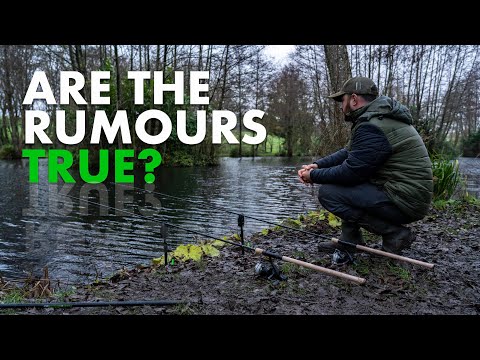 Fishing For BIG PERCH With Prawns - Part One