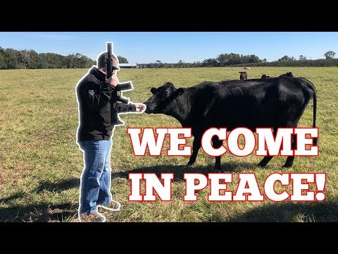 Rugged Suppressors Radiant 7.62