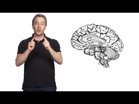 Does Porn Impact the Brain?