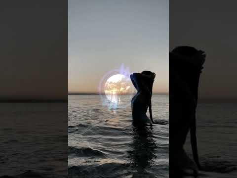 Elle aime tchin X2 - La Section