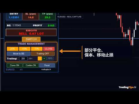 Video Trading Panel PRO MT5