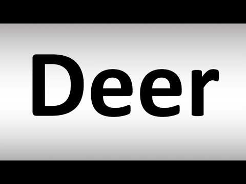 How to Pronounce Deer