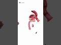 The 7 Male Pleasure Points Shorts Youtubeshorts Draroras