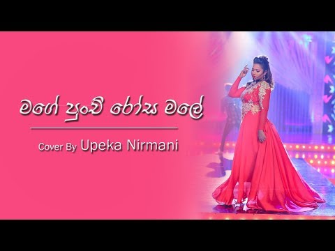 Mage Punchi Rosa Male Cover By Upeka Nirmani | Live