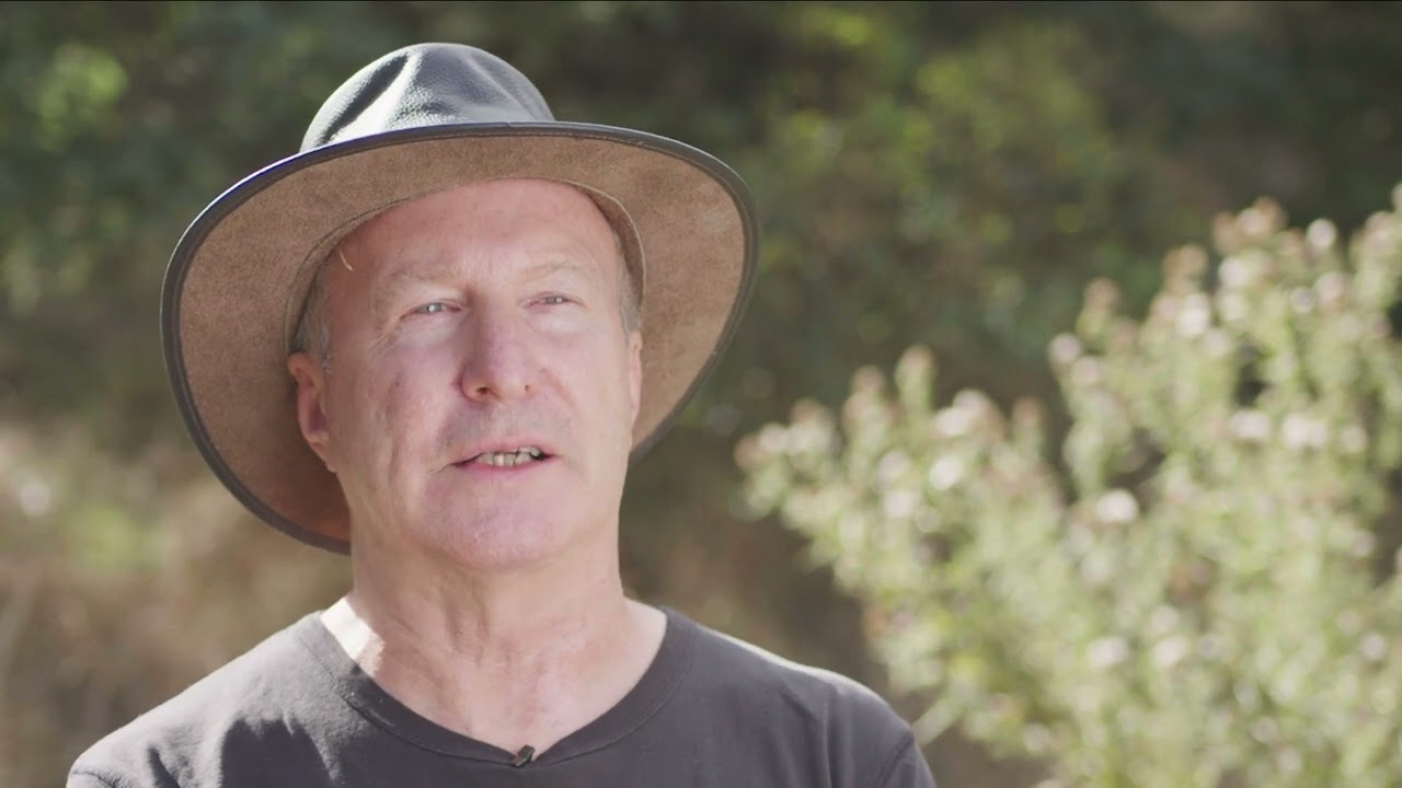 Smartgroup's Carbon Offset Program