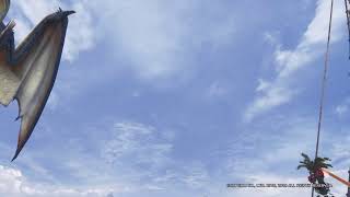 のんびり配信
