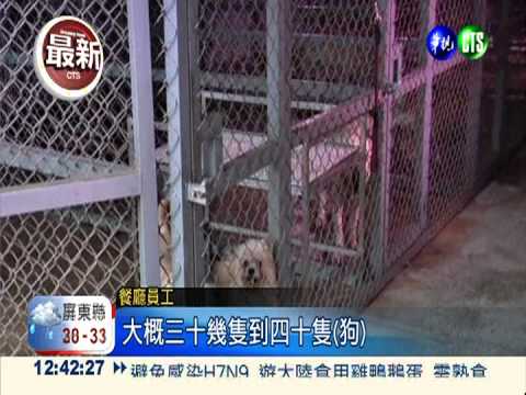 疑土地糾紛 寵物餐廳遭強拆破壞