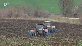 Зърнопроизводителите от Хасково са в стачна готовност