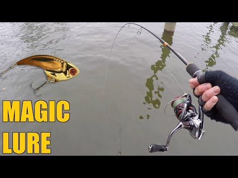 This Lure SLAYS Winter Bass!!! (Cold Water Fishing Tips)