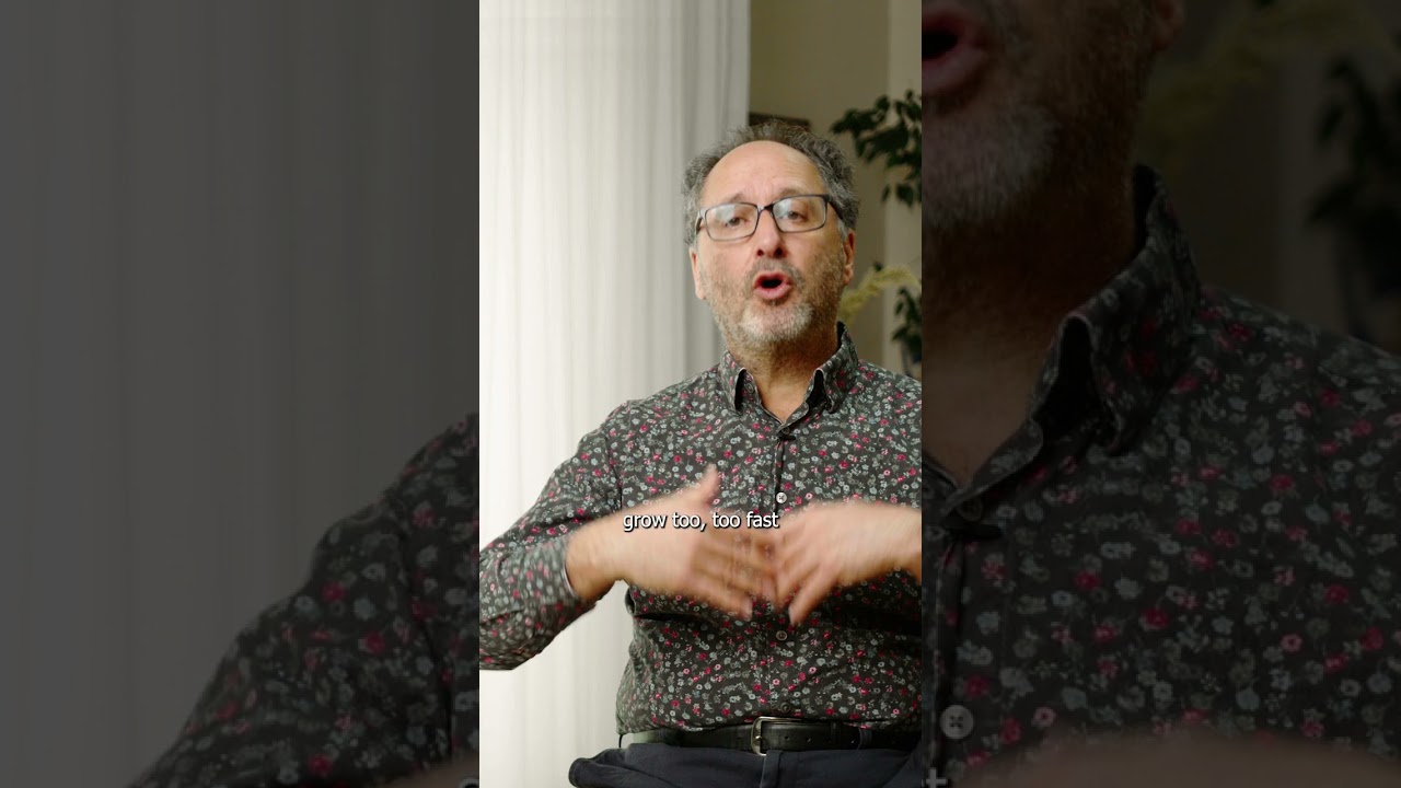 What is Quantum Technology: Quantum Software and Algorithms