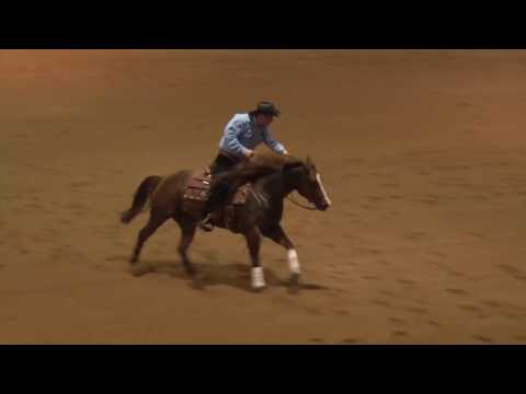 170225 Peter De Freitas on Dun Whiz Stars NH