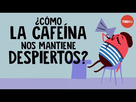 ¿Cómo la cafeína nos mantiene despiertos? - Hanan Qasim