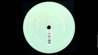 Antonelli Electr - The Realist