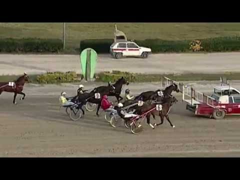 Aversa trotto 25 Gennaio 2020 - 3° Corsa