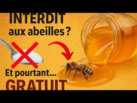 [TUTO] Comment NOURRIR ses abeilles sans se ruiner = 0.00€