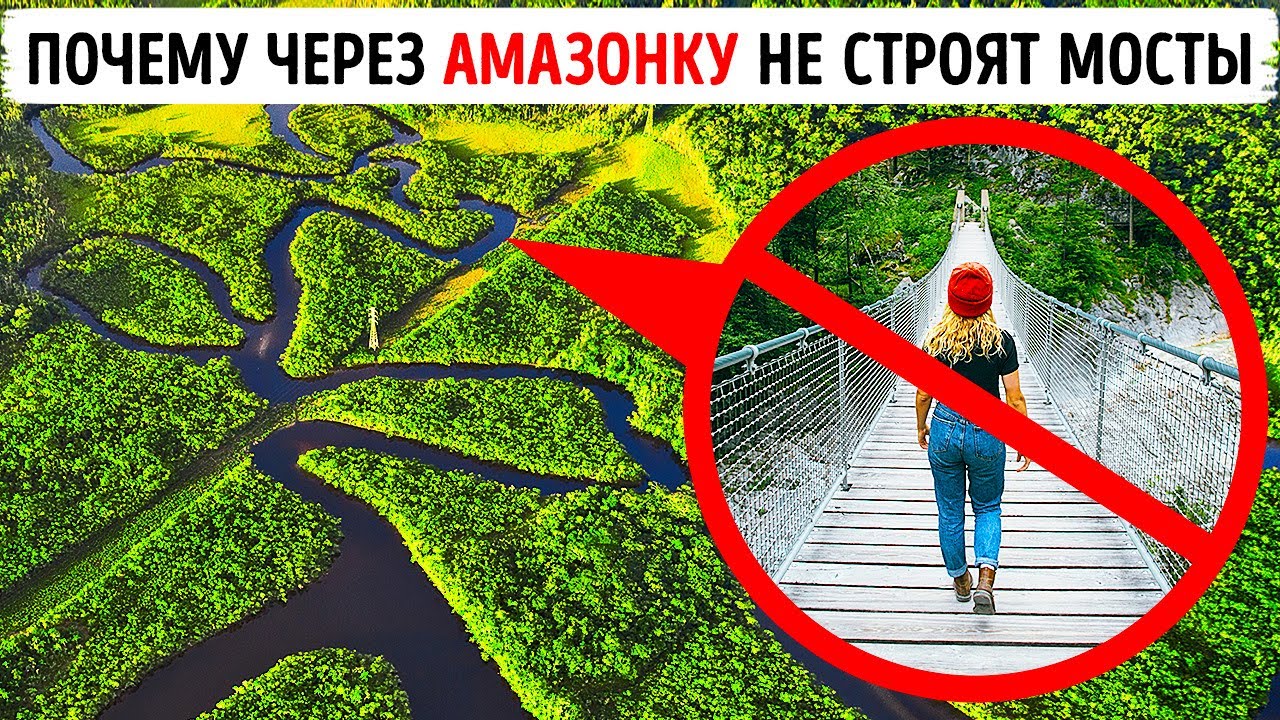 Что мешает строить мосты через Амазонку?