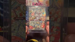 Pokemon Chaos Rising Cinccino SIR #pokemon #shorts #cards #tcg #viral #video #short #viralvideo #fun