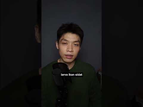 Binatang ini suka ke segitiga bermuda...