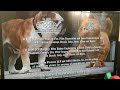 Closing To Garfield 2 A Tale Of Two Kitties 2006 UK DVD
