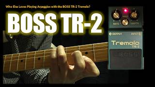 Video thumbnail for [BOSS TR 2 Tremolo] My Favorite Settings for Playing Arpeggios #guitar  #playguitar #bosspedal by Masa Guitar / Music Theory and Gear