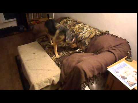 Happy Birthday, Kashmir