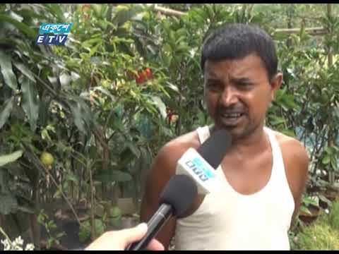 রোনার বিরূপ প্রভাব পড়েছে ময়মনসিংহের নার্সারীগুলোতে