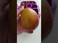 Packing School Lunch ONLY GUMMIES Shorts