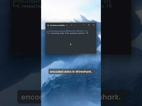 Wireshark Packet Capture File CTF  #cybersecurity #coding #hacker #wireshark