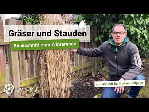 Prune grasses and perennials properly at the end of winter with an animal surprise! | gardify tips