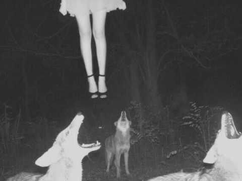 Lil Pump X Chris Travis Type Beat | "ache" (prod. TEE)