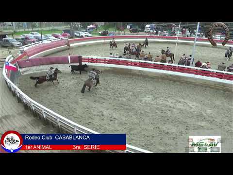 3ra SERIE RODEO CLUB CASABLANCA ASOC. VALPARAISO FEROCHI