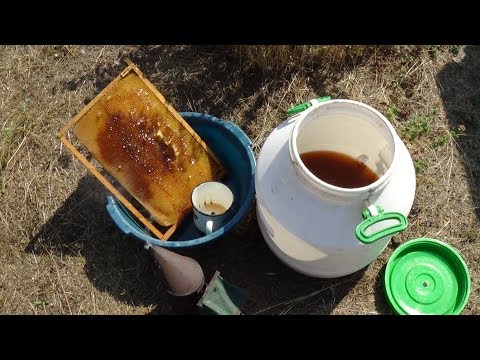 ЕдК и элеутерококк вторая фаза обработки пасики