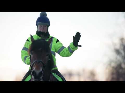 Slik kjører du forbi hest og rytter langs veien