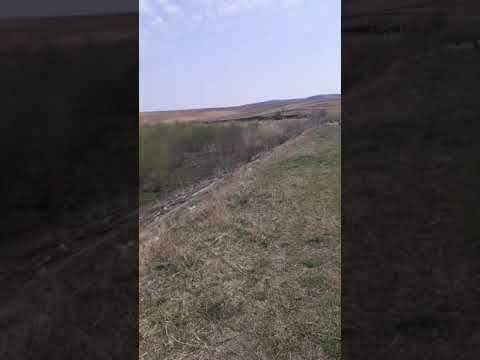 Balta bratulesti  jud galați