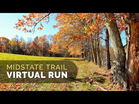 Virtual Trail Run - Exploring the Woods in Late Fall - MidState Trail - Massachusetts