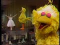 1405 Big Bird Takes Ballet Lessons