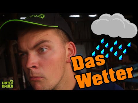 The Apprentice and the Weather