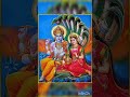 Shorts Laxmi Narayan Pictures