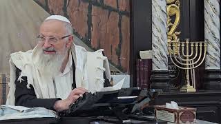 תיקון לשופטים וליועצים | הרב שמואל אליהו | הלכה יומית | ח׳ כסלו תשפ״ה (הרב שמואל אליהו) - התמונה מוצגת ישירות מתוך אתר האינטרנט יוטיוב. זכויות היוצרים בתמונה שייכות ליוצרה. קישור קרדיט למקור התוכן נמצא בתוך דף הסרטון