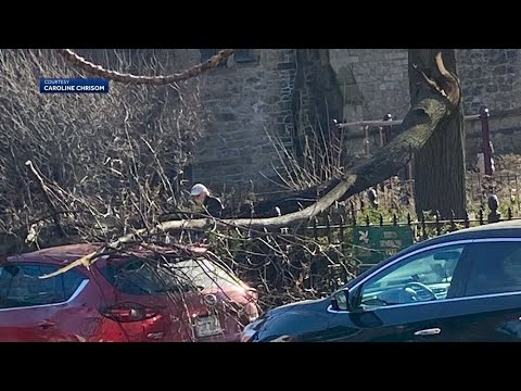 Strong wind gusts wreak havoc across region