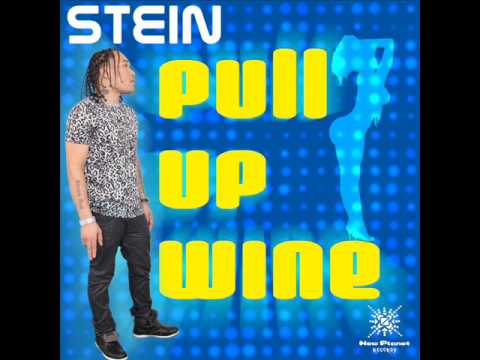 Stein - Pull Up Fuck (Raw) | November 2013 | New Planet Records