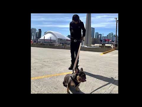 LB Spiffy x Prince Dawn - F With Us (unreleased)