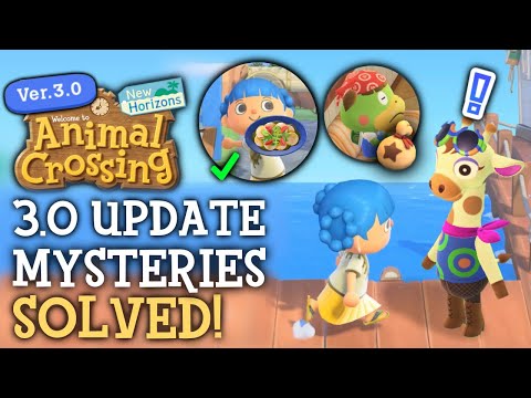 3.0 Update's BIGGEST Mysteries Solved - Animal Crossing New Horizons