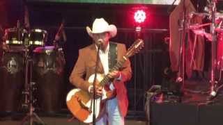 CON LA TINTA DE MI SANGRE-RELAMPAGUITOS