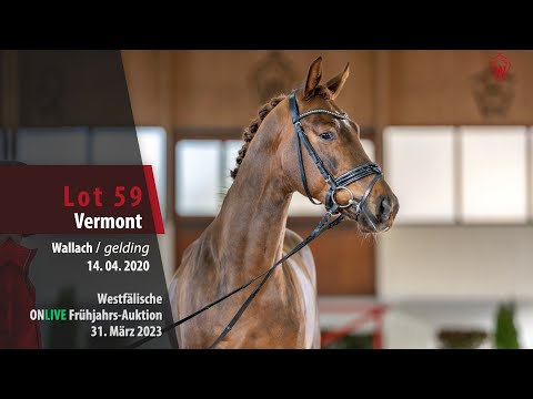 ONLIVE Frühjahrs-Auktion Lot 59 Vermont Wallach v. Vivat Rex - Donnerball