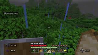 【minecraft】エンドラ討伐耐久配信！　寝られると思うなよ！（オレが）【マイクラ】