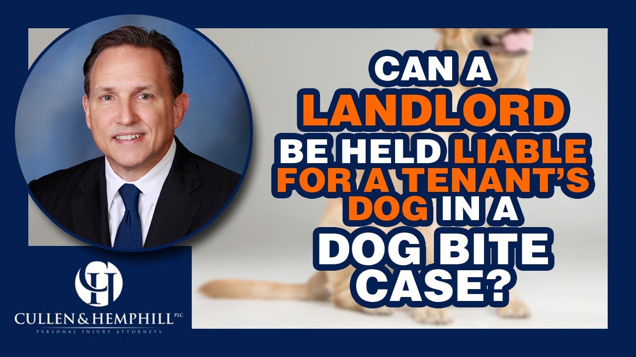 Can a Landlord be Held Liable for a Tenant’s Dog in a Florida Dog Bite