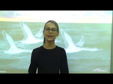 Божченко Дарья, МАОУ СШ Земля родная,Новый Уренгой