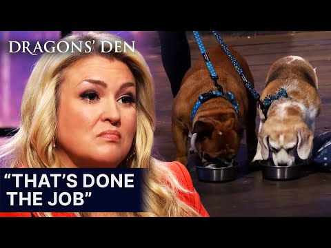 Furr Boost Introduces Protein Drinks For Dogs | Dragons' Den