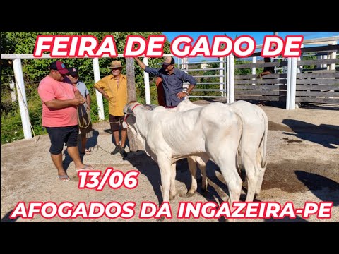 Feira de gado de Afogados da Ingazeira-PE (13/06/26)